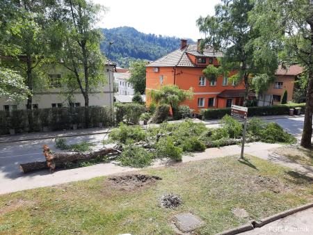 Stanje na terenu (4)